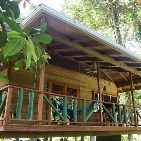 Jungle Beach 2 Bedroom Cottage Bocas del Toro Esterno foto