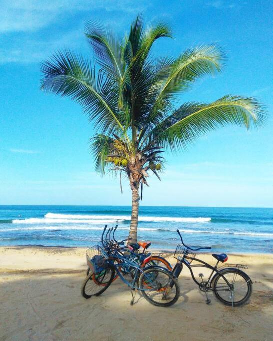 Jungle Beach 2 Bedroom Cottage Bocas del Toro Esterno foto
