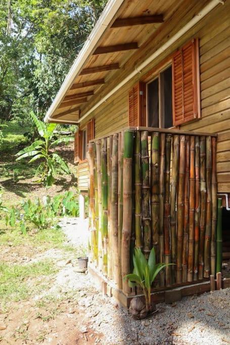 Jungle Beach 2 Bedroom Cottage Bocas del Toro Esterno foto