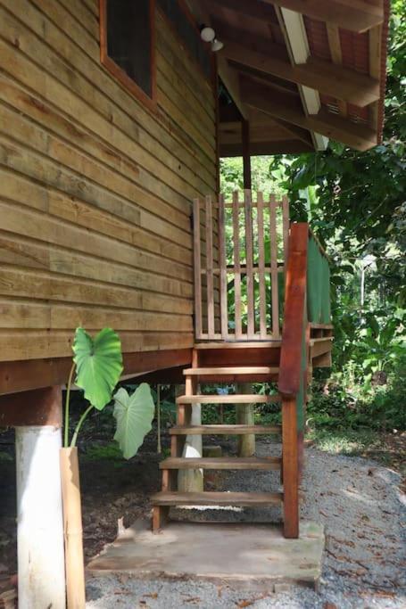 Jungle Beach 2 Bedroom Cottage Bocas del Toro Esterno foto