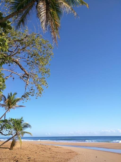 Jungle Beach 2 Bedroom Cottage Bocas del Toro Esterno foto