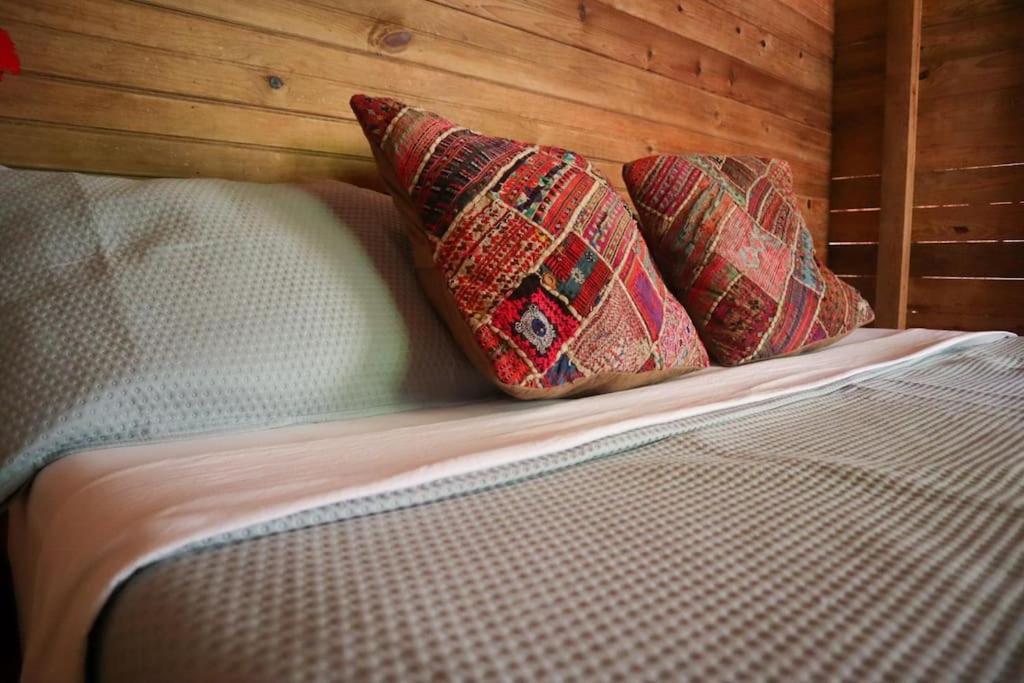 Jungle Beach 2 Bedroom Cottage Bocas del Toro Esterno foto